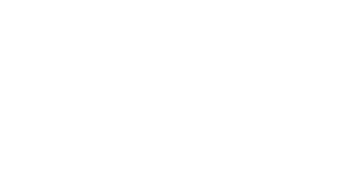 NETWORKING DE ALTO NÍVEL